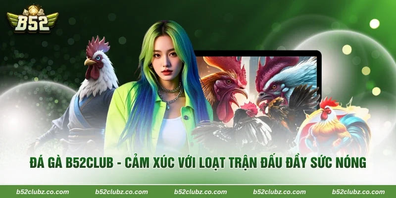 Đá Gà B52Club - Cảm Xúc Với Loạt Trận Đấu Đầy Sức Nóng