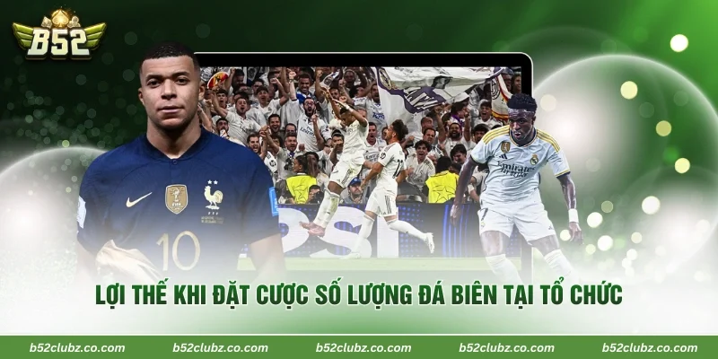 Lợi thế khi đặt cược số lượng đá biên tại tổ chức 