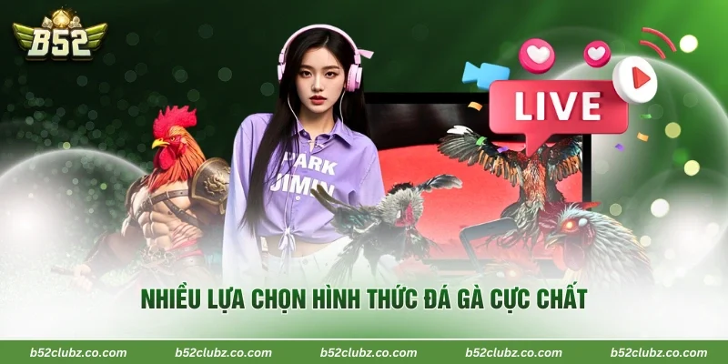 Nhiều lựa chọn hình thức đá gà cực chất 