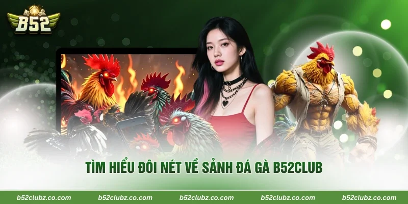 Tìm hiểu đôi nét về sảnh đá gà B52CLUB