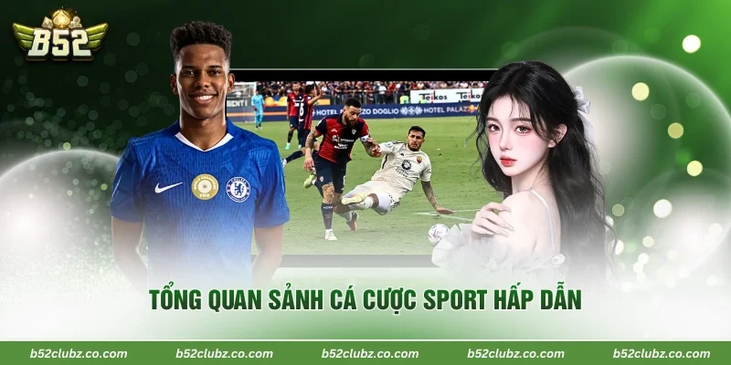 Tổng quan sảnh cá cược sport hấp dẫn